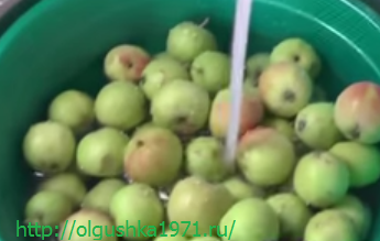 Яблучний компот на зиму. Прості рецепти в домашніх умовах