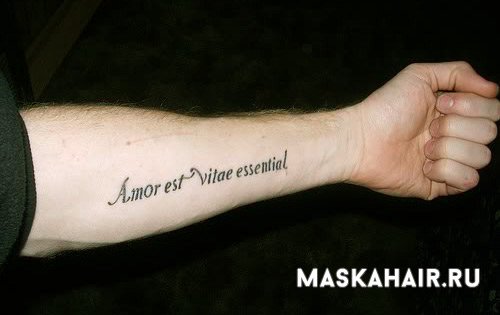 Різні татуювання у вигляді написів на латині з перекладом