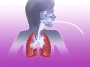 Лікування і профілактика бронхіальної астми народними засобами