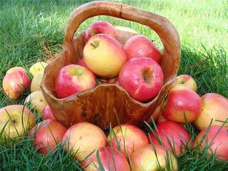 Зберігання яблук в домашніх умовах