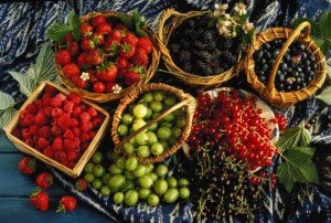 Фрукти і ягоди Криму. Що можна вживати в їжу в сезон