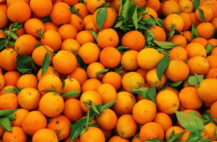Користь апельсина для організму. Яку шкоду і користь свіжовичавленого апельсинового соку?