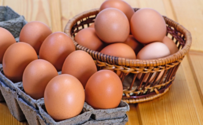 Вусах Хамдия: яєчна дієта