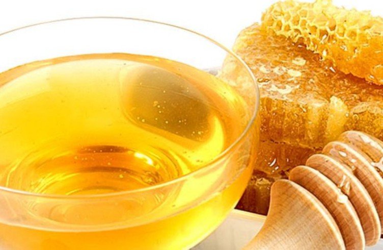 Користь і шкода меду для жінок і чоловіків. Користь меду, змішаного з водою