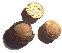 Корисні властивості мускатного горіха