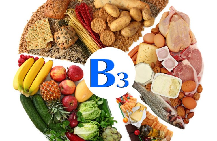 Вітамін B3 — користь і шкода, джерела і дозування
