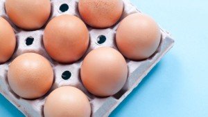 Яєчний білок – користь і корисні властивості білка з курячих яєць
