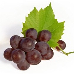 Виноград Ізабелла – користь і корисні властивості винограду Ізабелли