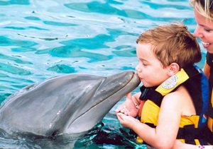 Дельфінотерапія для дітей: комусь потрібна і як діє