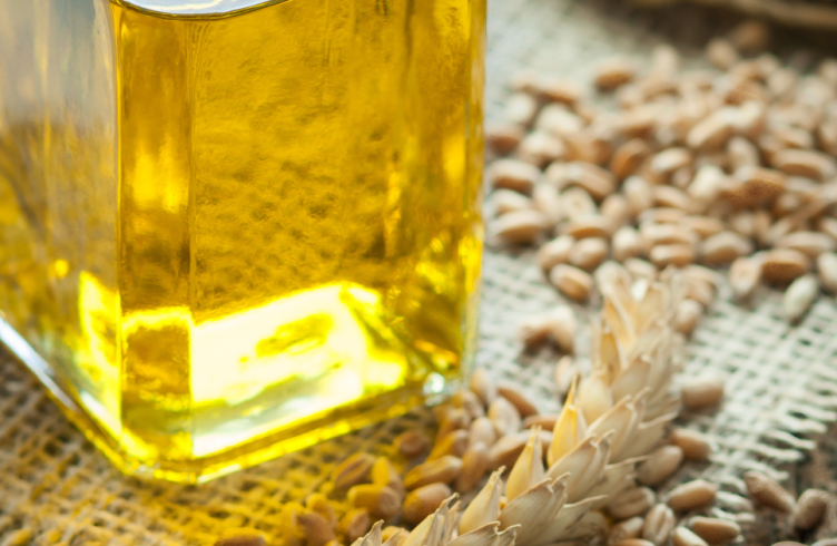 Масло зародків пшениці — властивості і застосування для обличчя та волосся