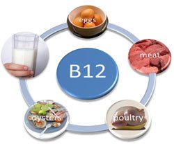 Вітамін В12 – користь і корисні властивості кобаламін