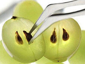 Олія виноградних кісточок – корисні властивості і застосування