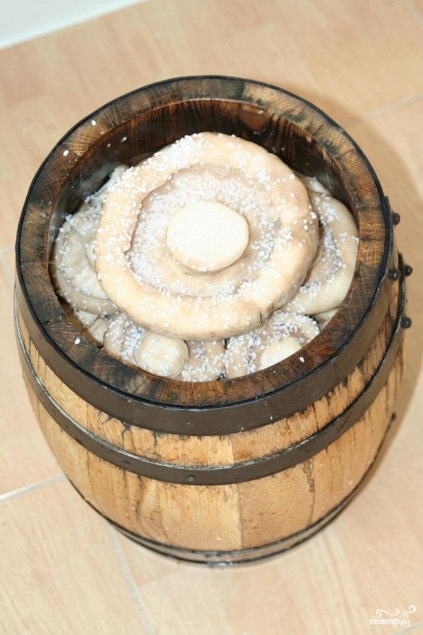 Солимо грузді на зиму – смачні варіанти засолювання грибів