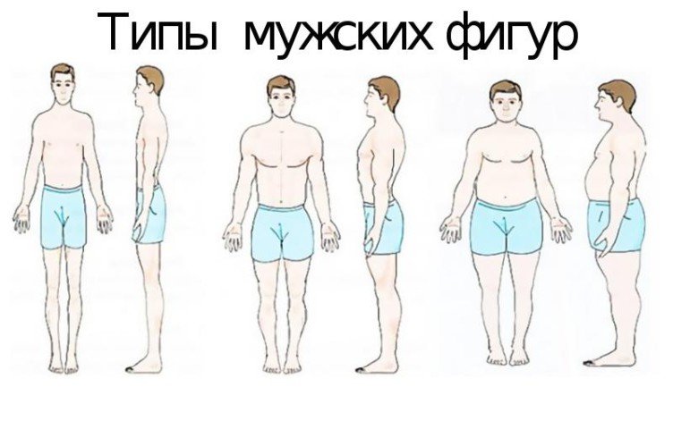 Типи статури чоловіків: мезоморф, ендоморф, ектоморф
