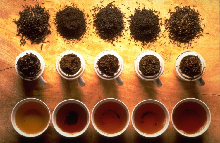 Види чаю і їх властивості — який найбільш корисний?