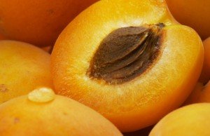 Абрикосові кісточки — користь і корисні властивості
