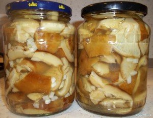 Солимо грузді на зиму – смачні варіанти засолювання грибів