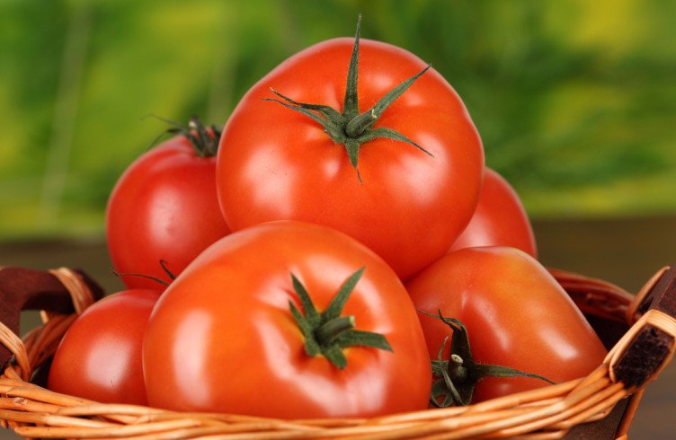 Користь і шкода помідорів для організму