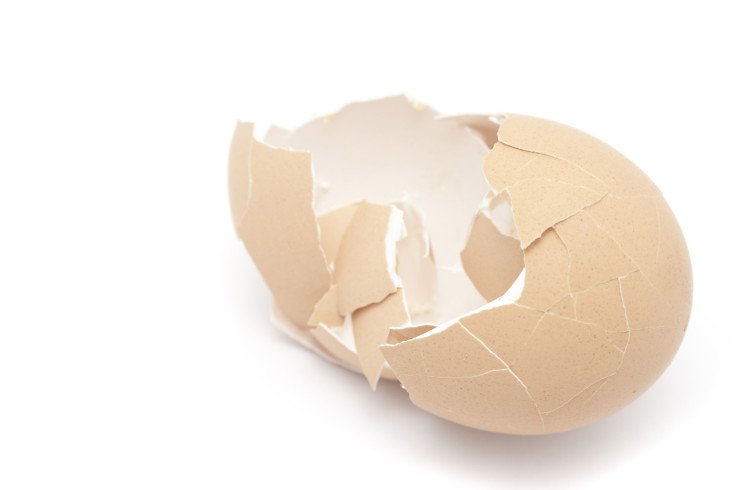 Яєчна шкаралупа, як джерело кальцію. У чому користь і шкоду яєчної шкаралупи для людини?