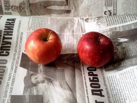 Незвичайні вироби своїми руками: Молодильні яблучка, майстер клас