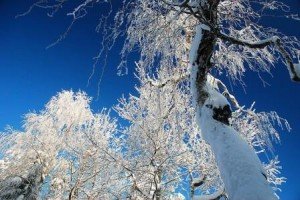Загадки на Новий рік про Зиму і Мороз