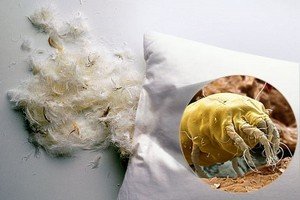 Чистка піряних подушок – кілька важливих рад