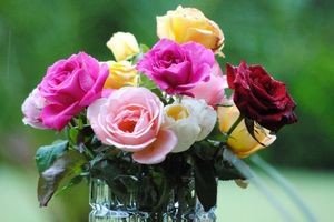 Як зберегти троянди у вазі – милуємося улюбленими квітами довше