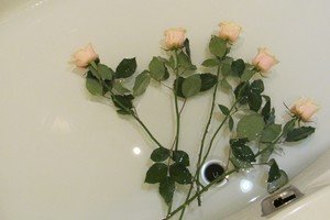 Як зберегти троянди у вазі – милуємося улюбленими квітами довше