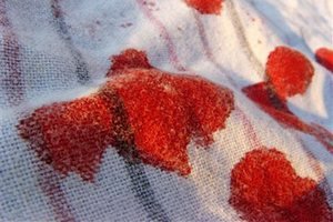 Вивести плями крові з килима і одягу – ефективні методи
