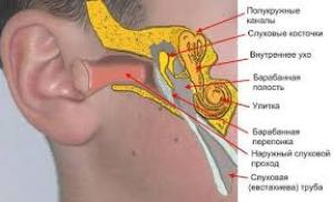 Симптоми запалення вуха і лікування отиту в домашніх умовах