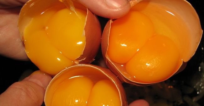 Яйця з двома жовтками: прикмети