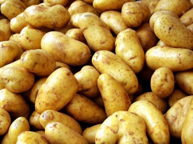 Особливості лікування картоплею