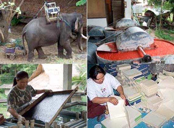 Бізнес ідея папери з екскрементів слонів