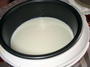 Підбірка кращих рецептів з фото для приготування сиру з молока в мультиварках Редмонд і Поларіс.