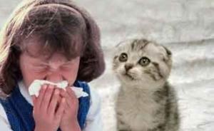 Лікування сезонної алергії у дітей і дорослих в домашніх умовах