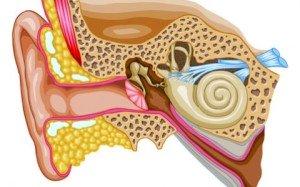 Як прибрати шум у вухах: лікування в домашніх умовах таблетками або народними засобами