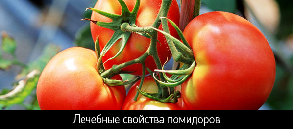 Корисні властивості помідорів