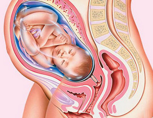 Причини, ознаки і лікування підвищеного тонусу матки у вагітних