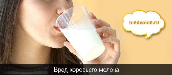 Корисні властивості молока