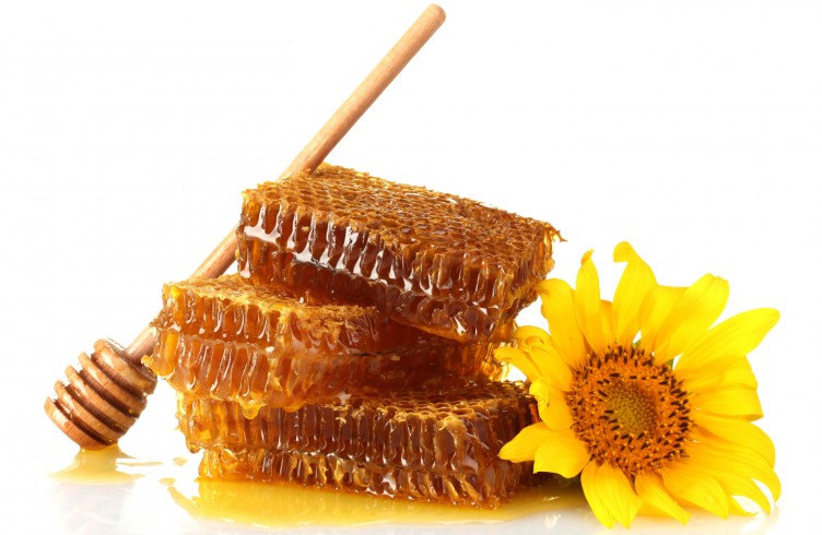 Соняшниковий мед: корисні властивості і протипоказання