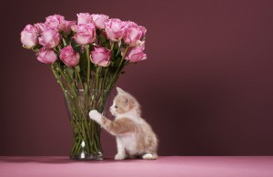 Збільшуємо життя квітів у вазі — як зберегти квіти довше