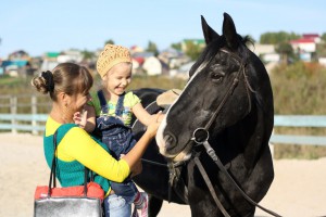 Іпотерапія — як проходить лікування кіньми?