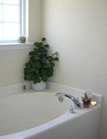 Квіти як рослинна доповнення до інтерєру вашої ванної кімнати