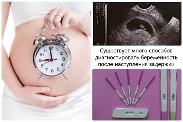 Перші ознаки вагітності, чого і коли очікувати