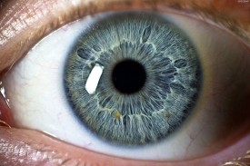 Стовбурові клітини допоможуть повернути зір сліпим людям