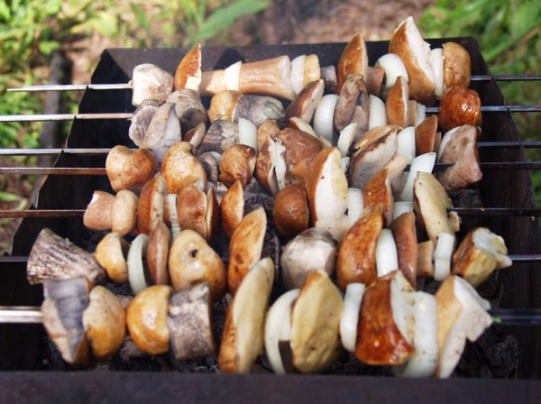Користь і шкода грибів, як їх краще готувати і вживати?