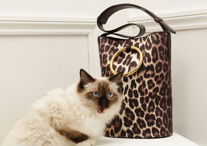 Подвійна порція краси: свіжа колекція від Stella McCartney з котиками