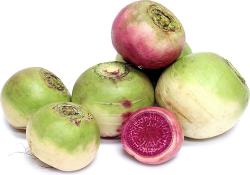 Фото і опис різних видів редьки