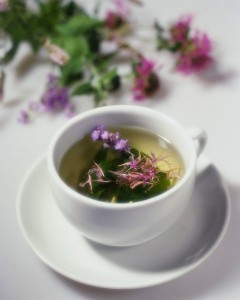 Квіти Іван чаю