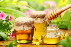 Бджолиний мед і його властивості